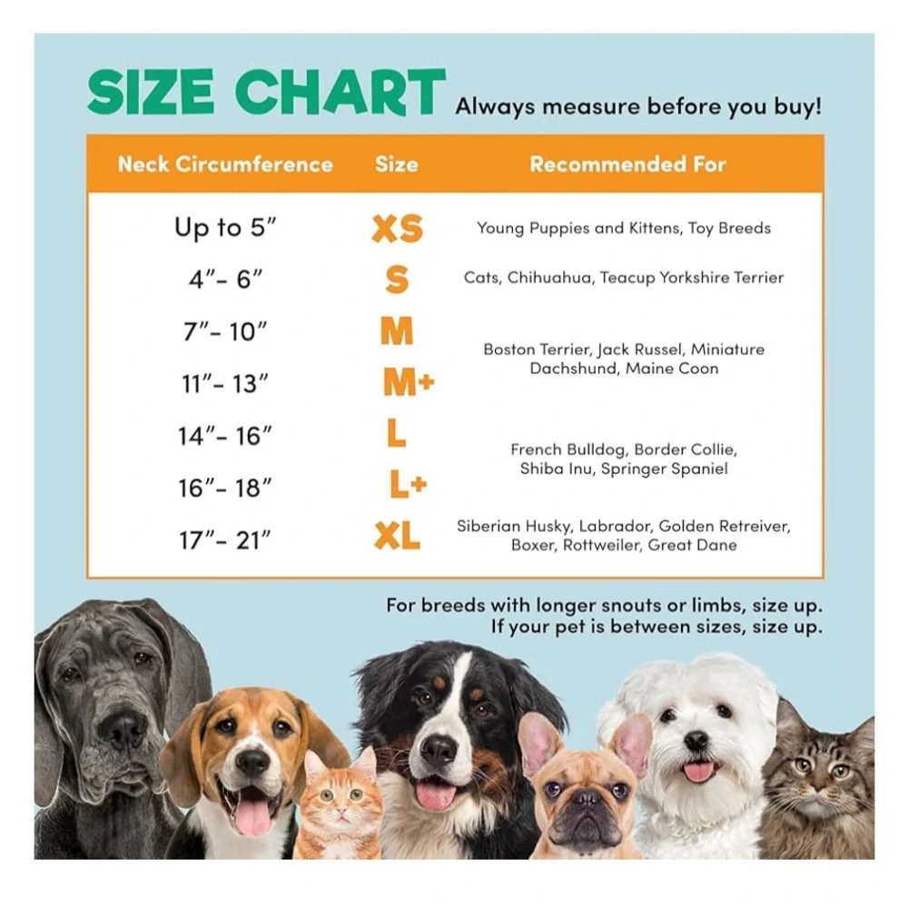 Protective Inflatable Collar for Dogs and Cats Soft Pet Recovery (Medium, Blue)